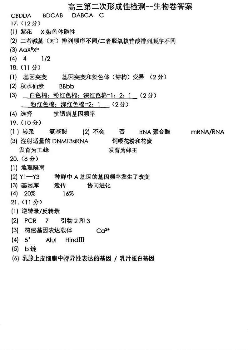 天津市滨海新区大港第一中学2024-2025学年高三上学期11月期中生物试题01