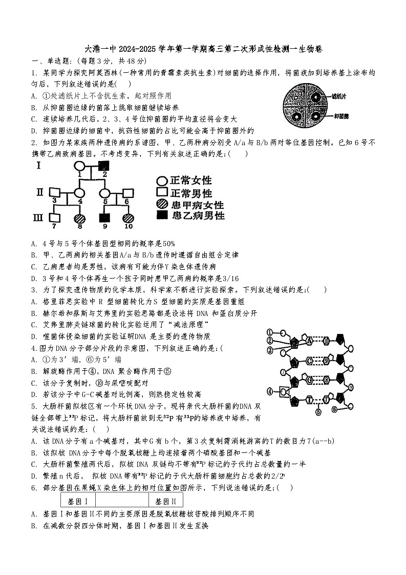 天津市滨海新区大港第一中学2024-2025学年高三上学期11月期中生物试题01