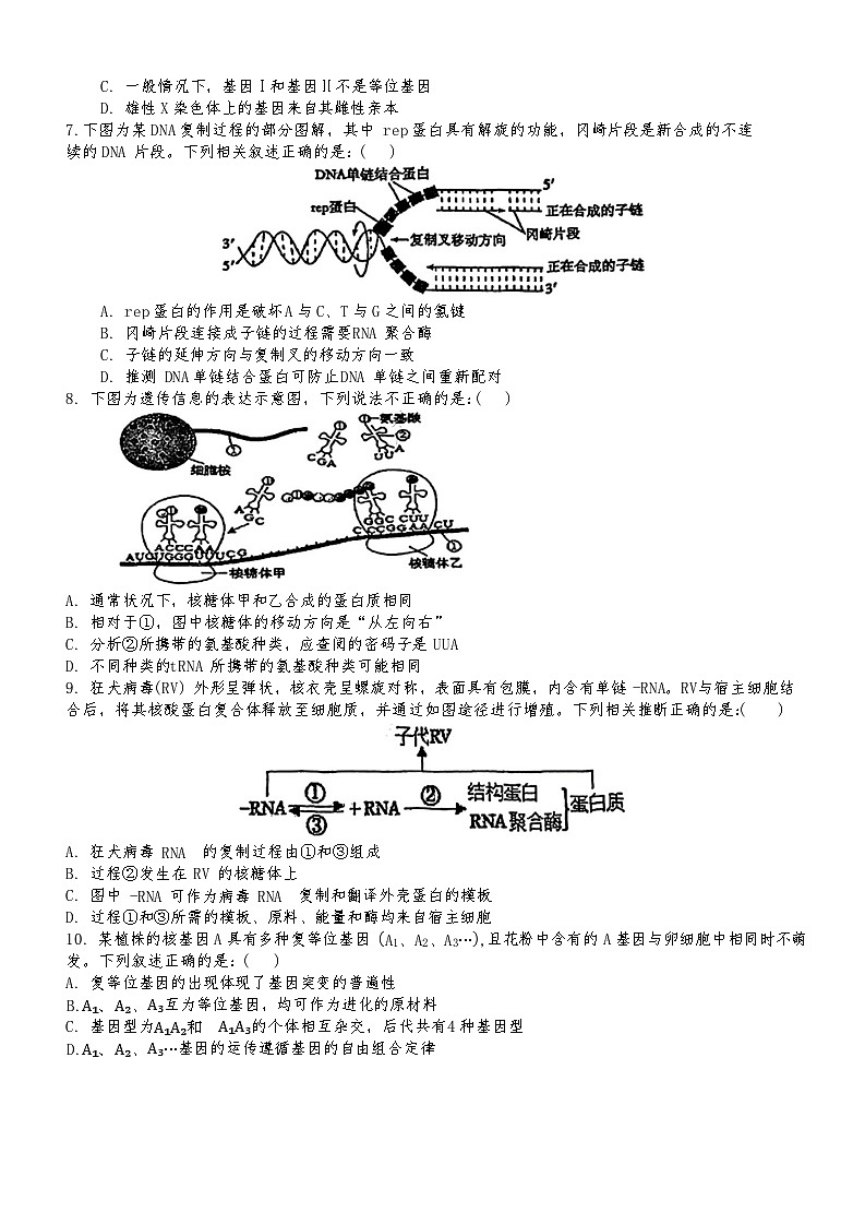 天津市滨海新区大港第一中学2024-2025学年高三上学期11月期中生物试题02