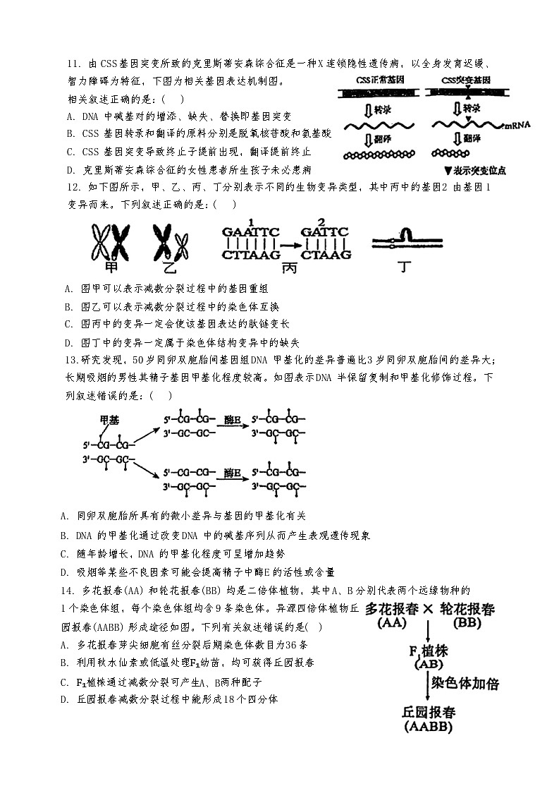 天津市滨海新区大港第一中学2024-2025学年高三上学期11月期中生物试题03