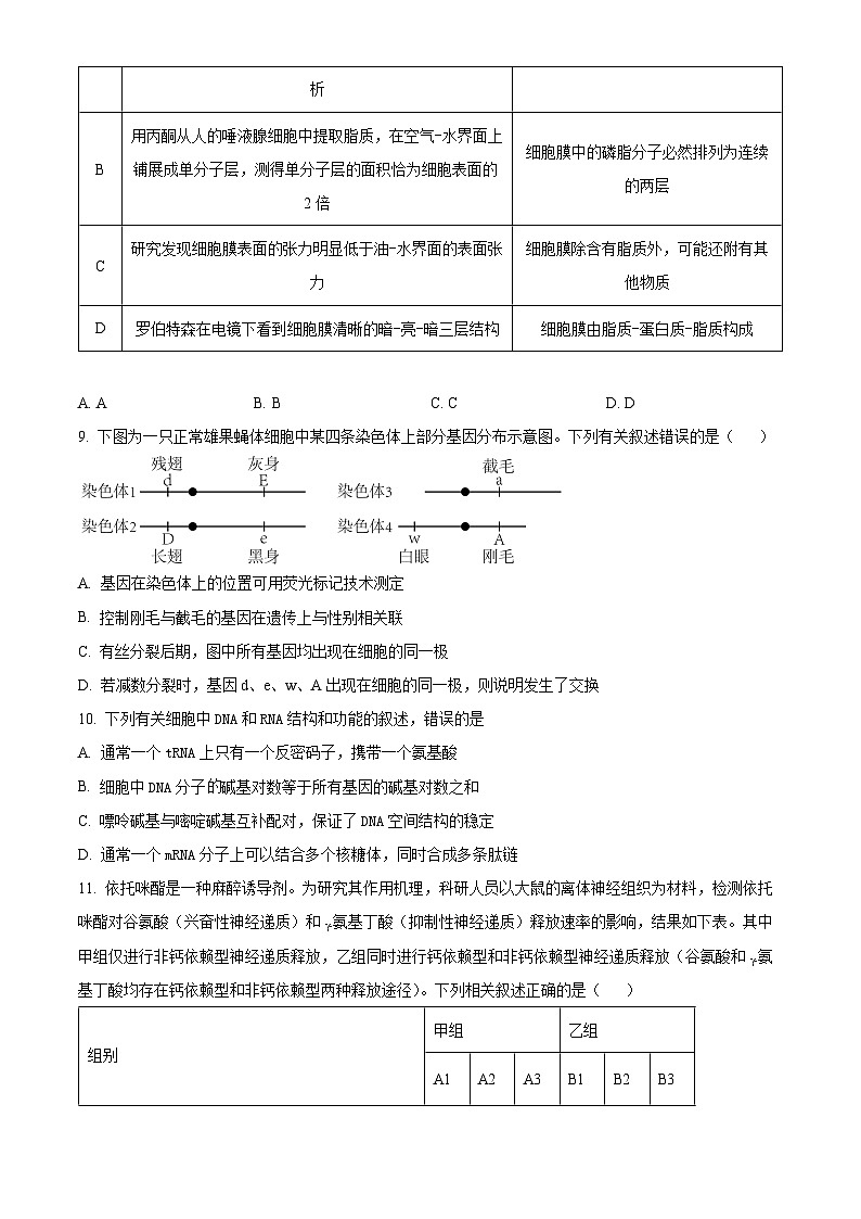 2025泉州五校高三上学期11月期中联考试题生物含解析03