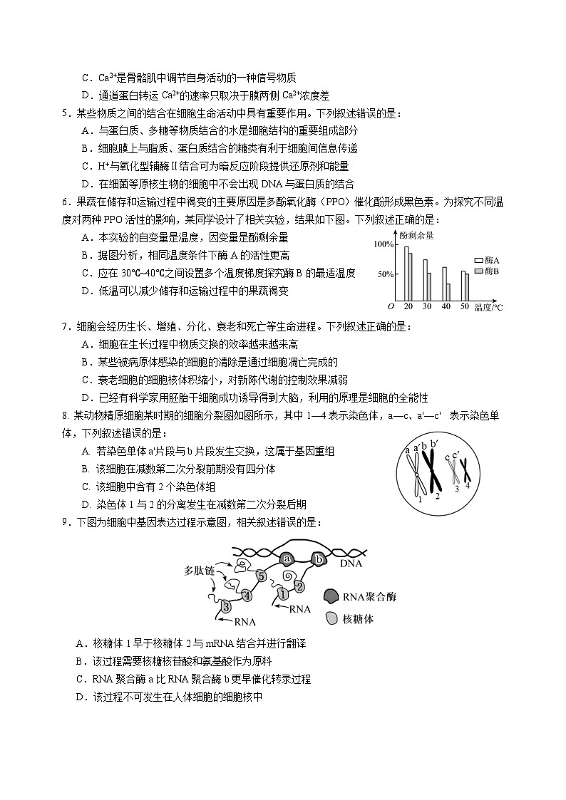 2024-2025学年上学期高二年级第一次月考-生物试卷第2页