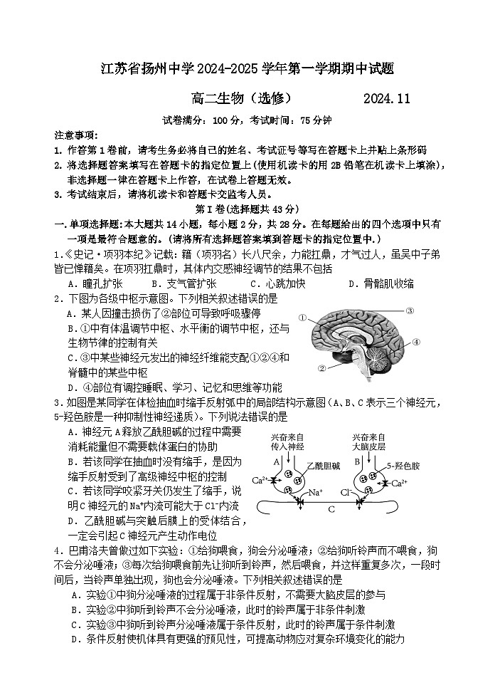 2025扬州中学高二上学期11月期中考试生物含答案第1页