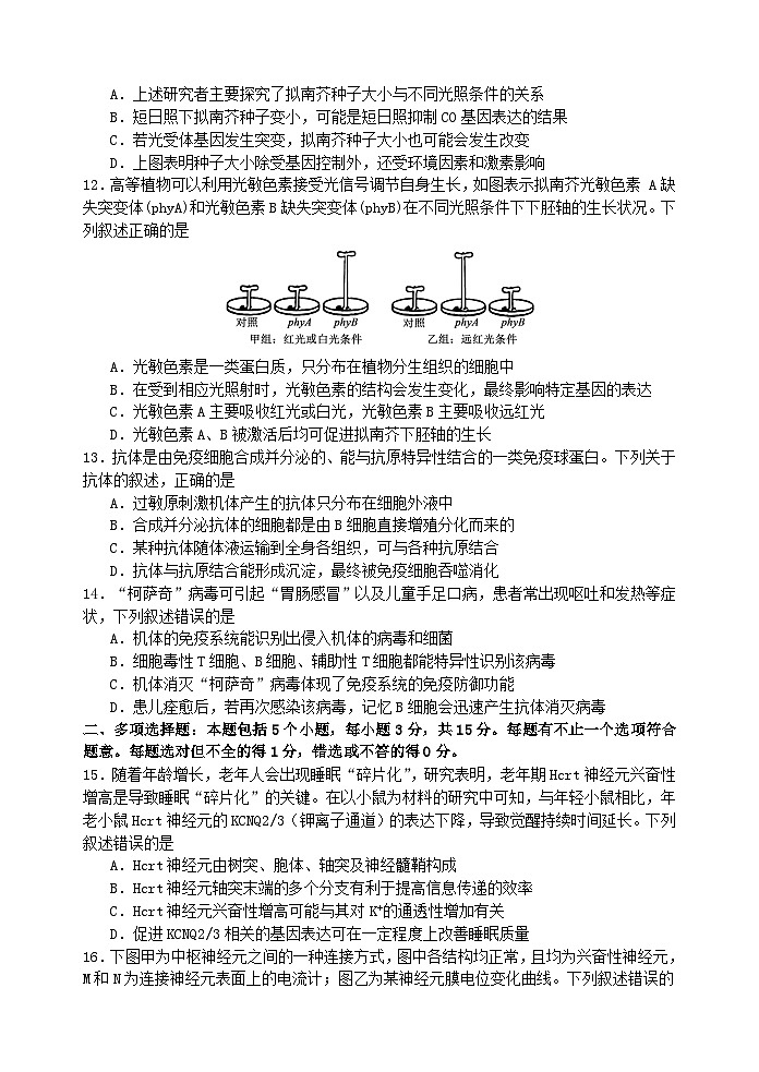 2025扬州中学高二上学期11月期中考试生物含答案第3页