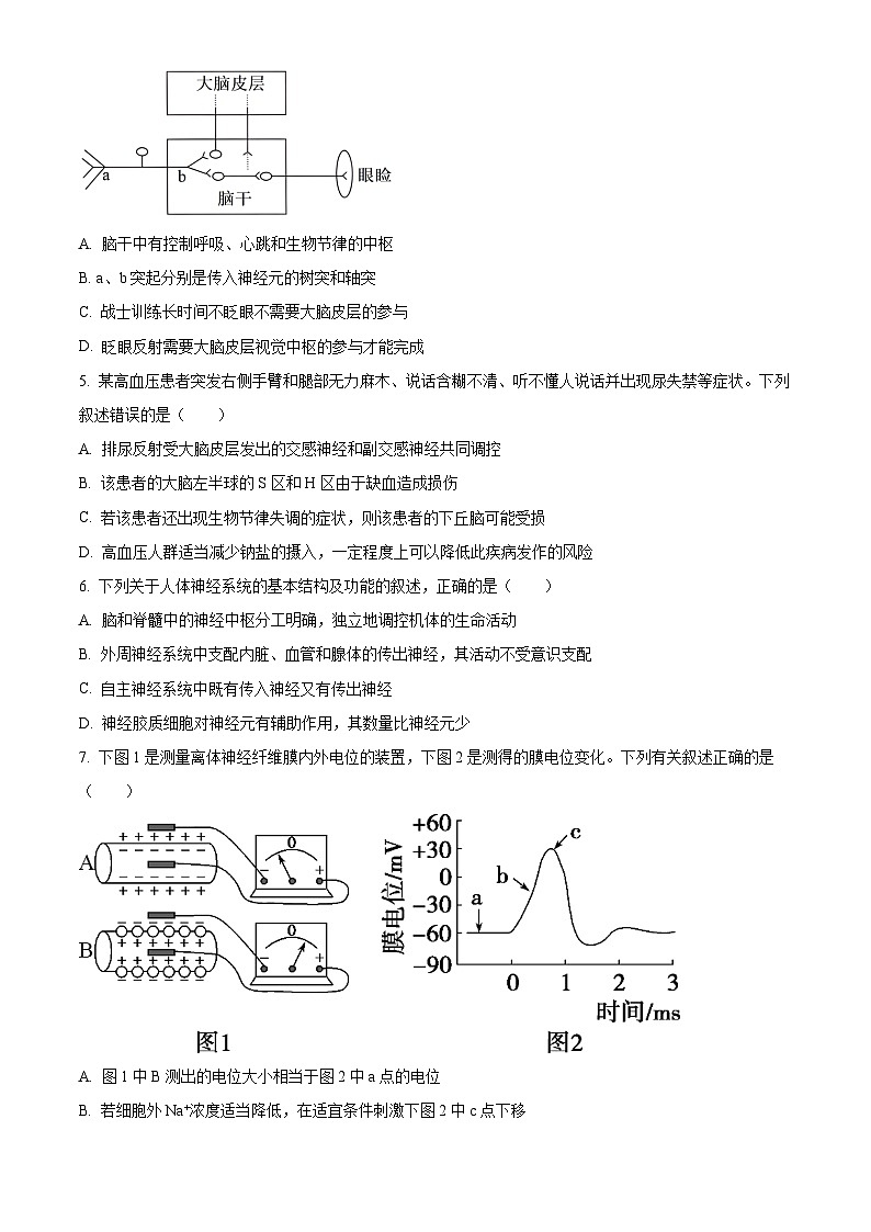 2025无锡江阴六校高二上学期11月期中联考试题生物含解析第2页