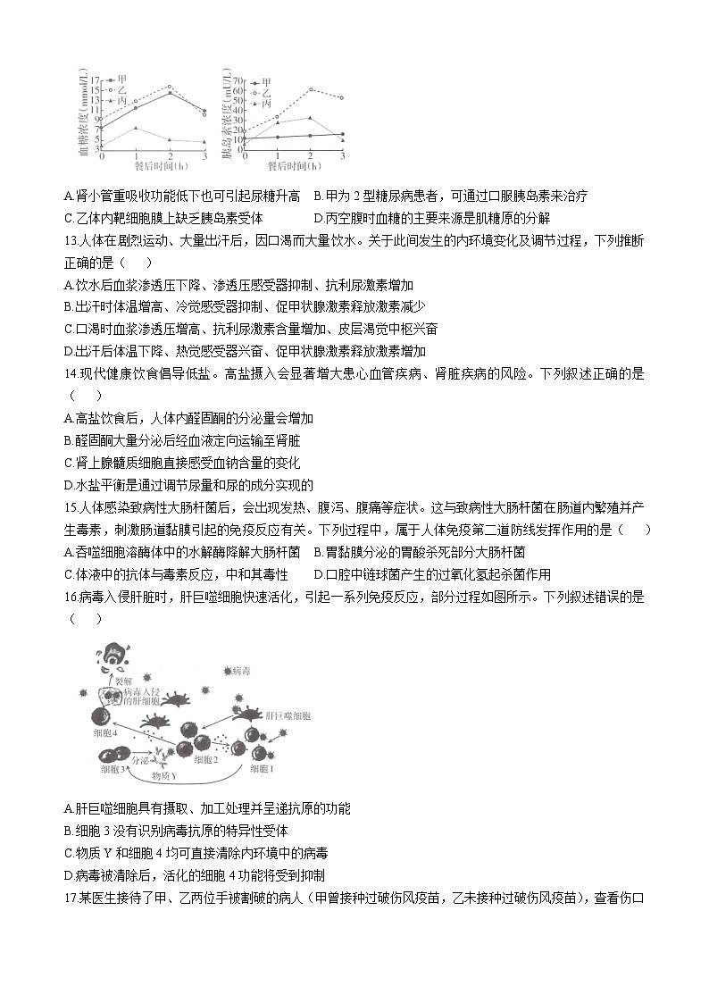 2025太原高二上学期11月期中考试生物含答案第3页