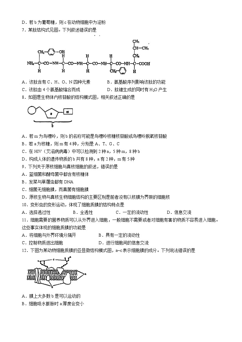 江苏省扬州市红桥高级中学2024-2025学年高一上学期11月期中生物试题(无答案)第2页