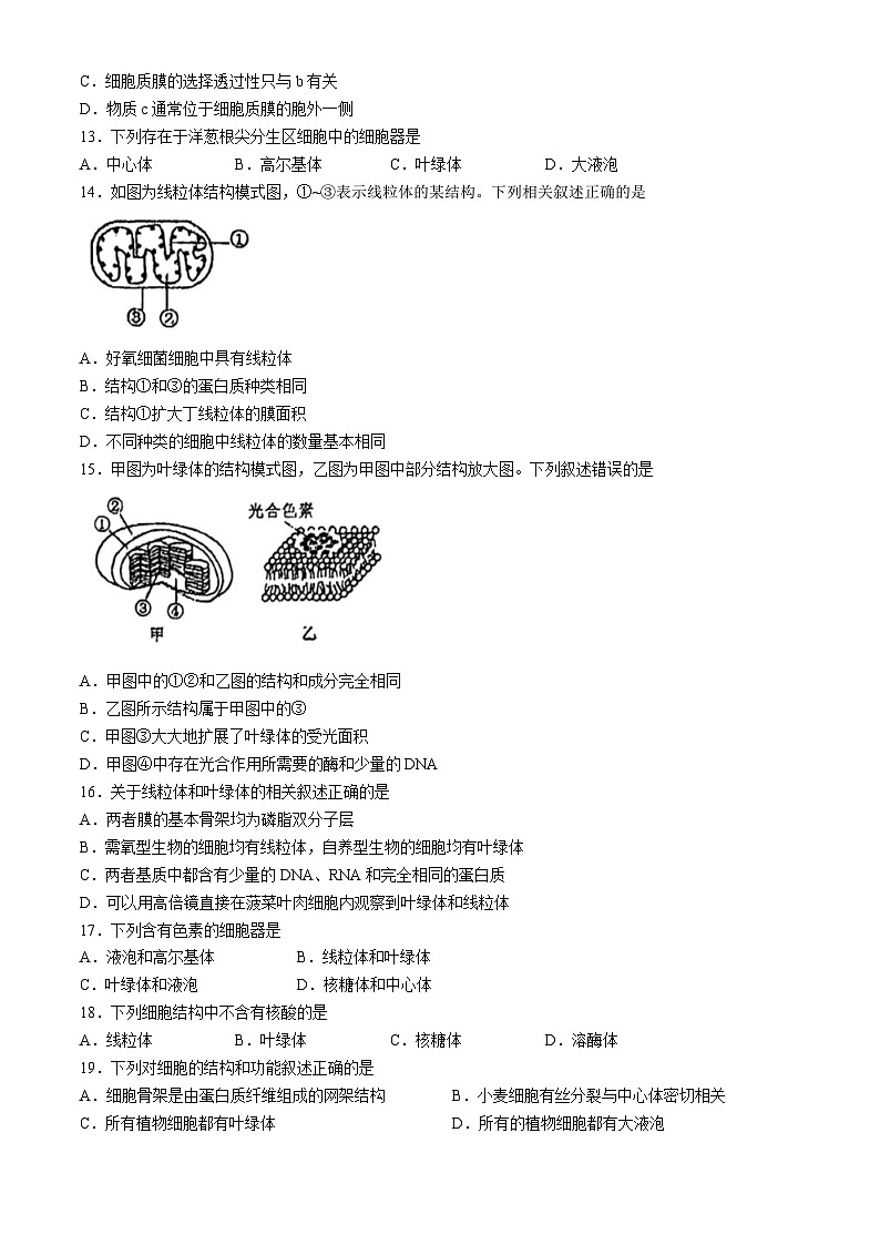 江苏省扬州市红桥高级中学2024-2025学年高一上学期11月期中生物试题(无答案)第3页