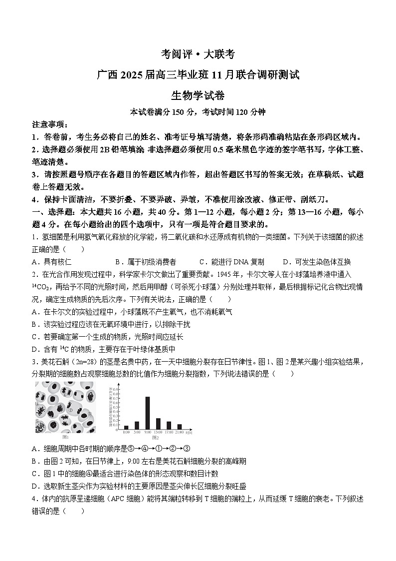 2025届广西壮族自治区毕业班高三上学期11月联考生物试题第1页