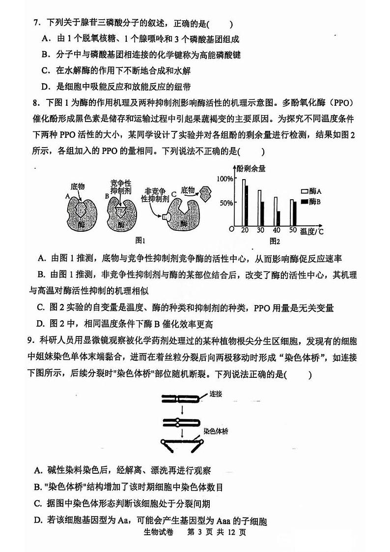 【百强校】【黑吉辽卷】黑龙江省哈尔滨市第三中学2024-2025学年2025届高三上学期期中考试（11.14-11.15）生物试卷+答案第3页