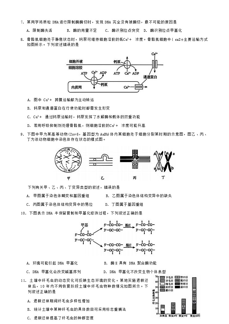 【浙江卷】浙江省2024学年第一学期浙江省9+1高中联盟高三年级期中考试（11.20-11.22）生物试卷+答案第3页