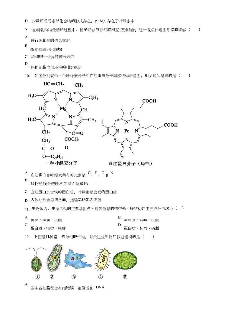 福建省武夷山市2023_2024学年高一生物上学期期中试题实验班pdf第3页