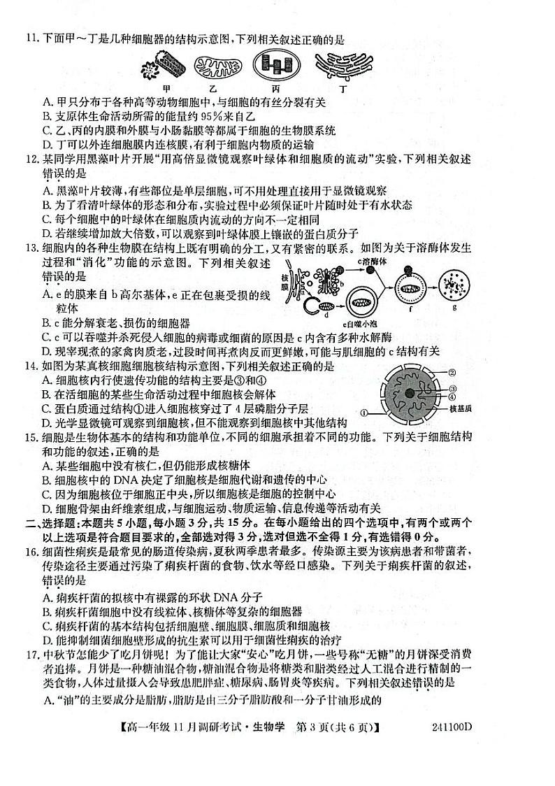 河南省2023_2024学年高一生物上学期11月调研考试pdf第3页