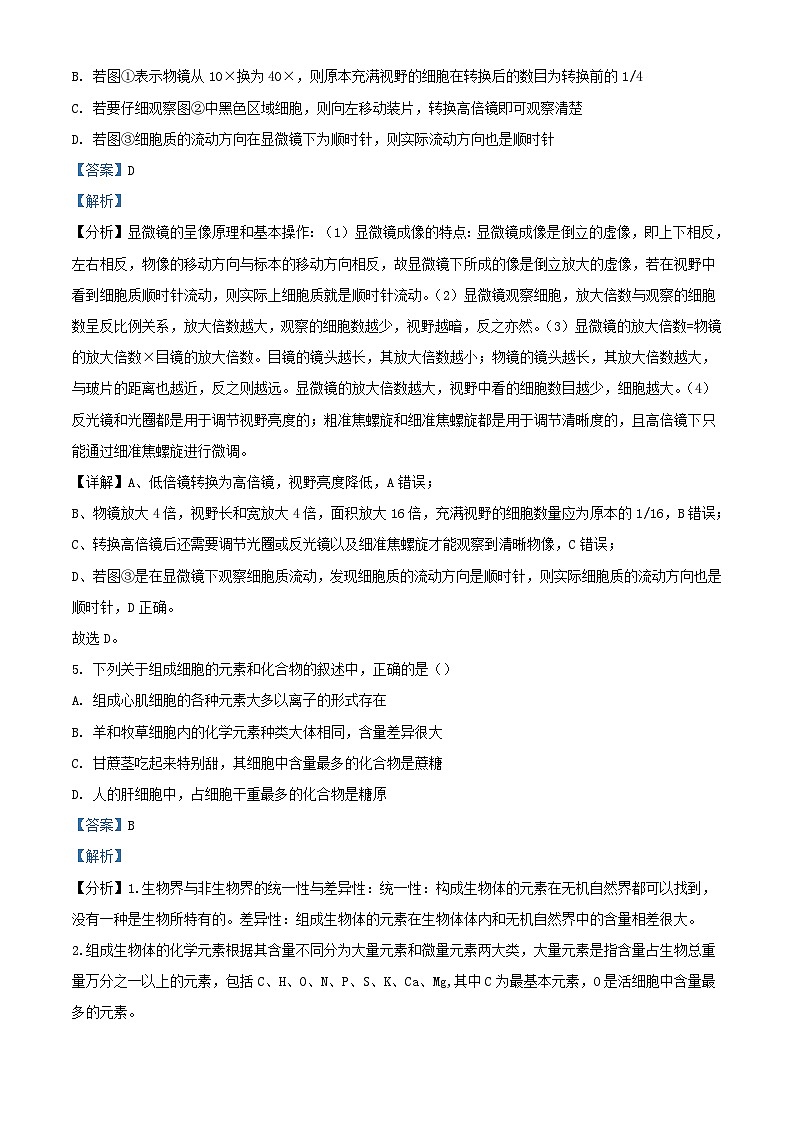 四川省泸州市泸县2023_2024学年高一生物上学期期中试题含解析第3页