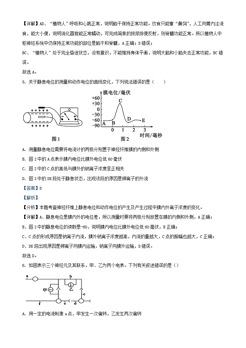 四川省自贡市2023_2024学年高二生物上学期10月月考试题含解析03