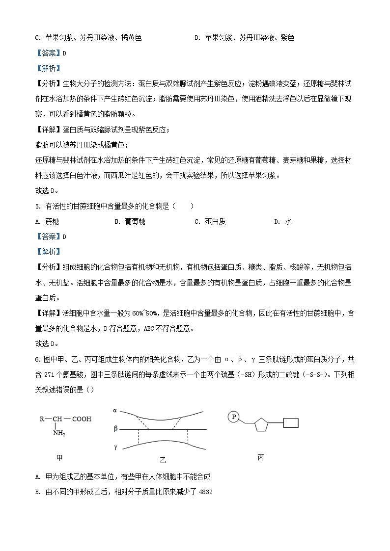 浙江省宁波市2023_2024学年高一生物上学期12月月考试题含解析第3页