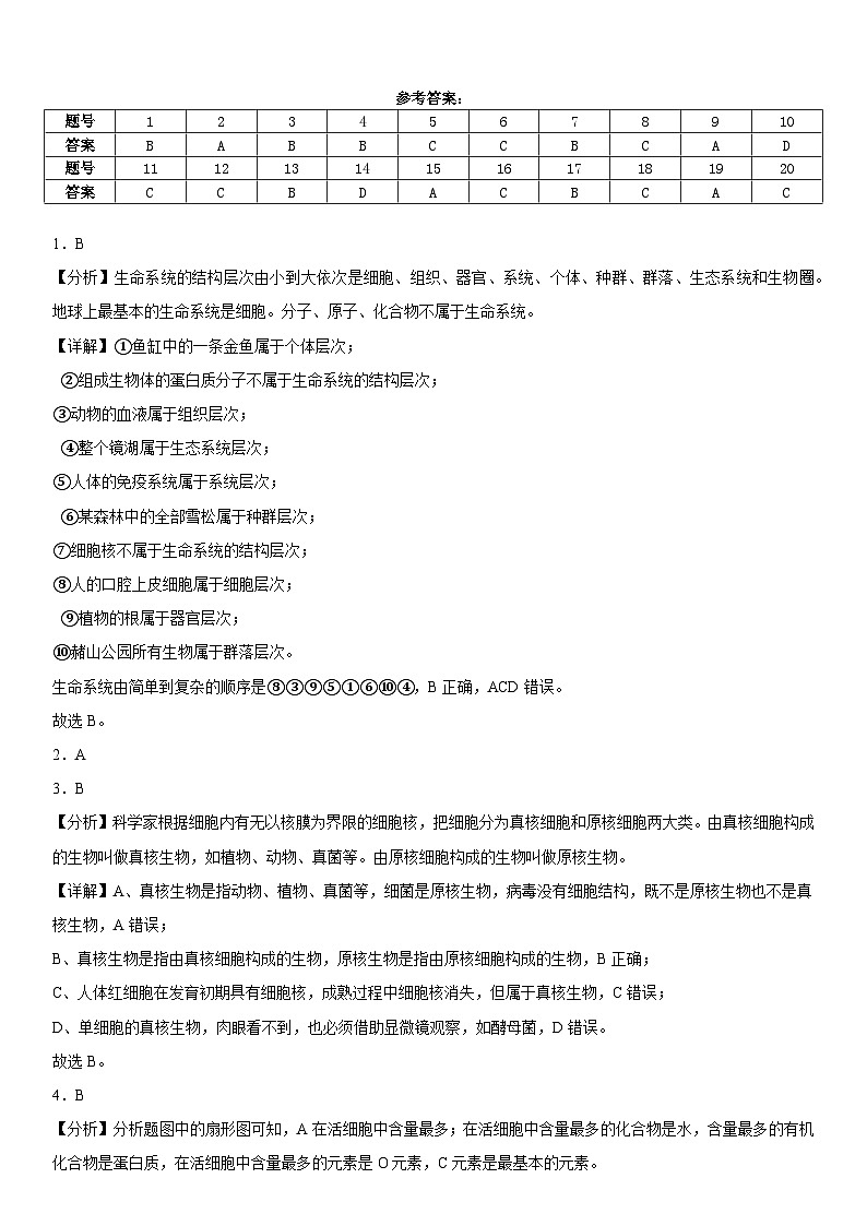 11月月考试卷答案第1页