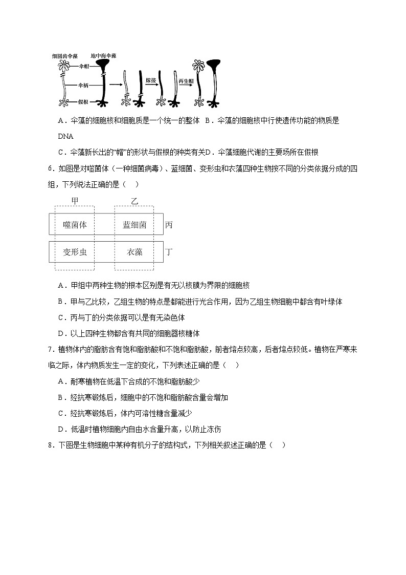11月月考试卷3.0第2页