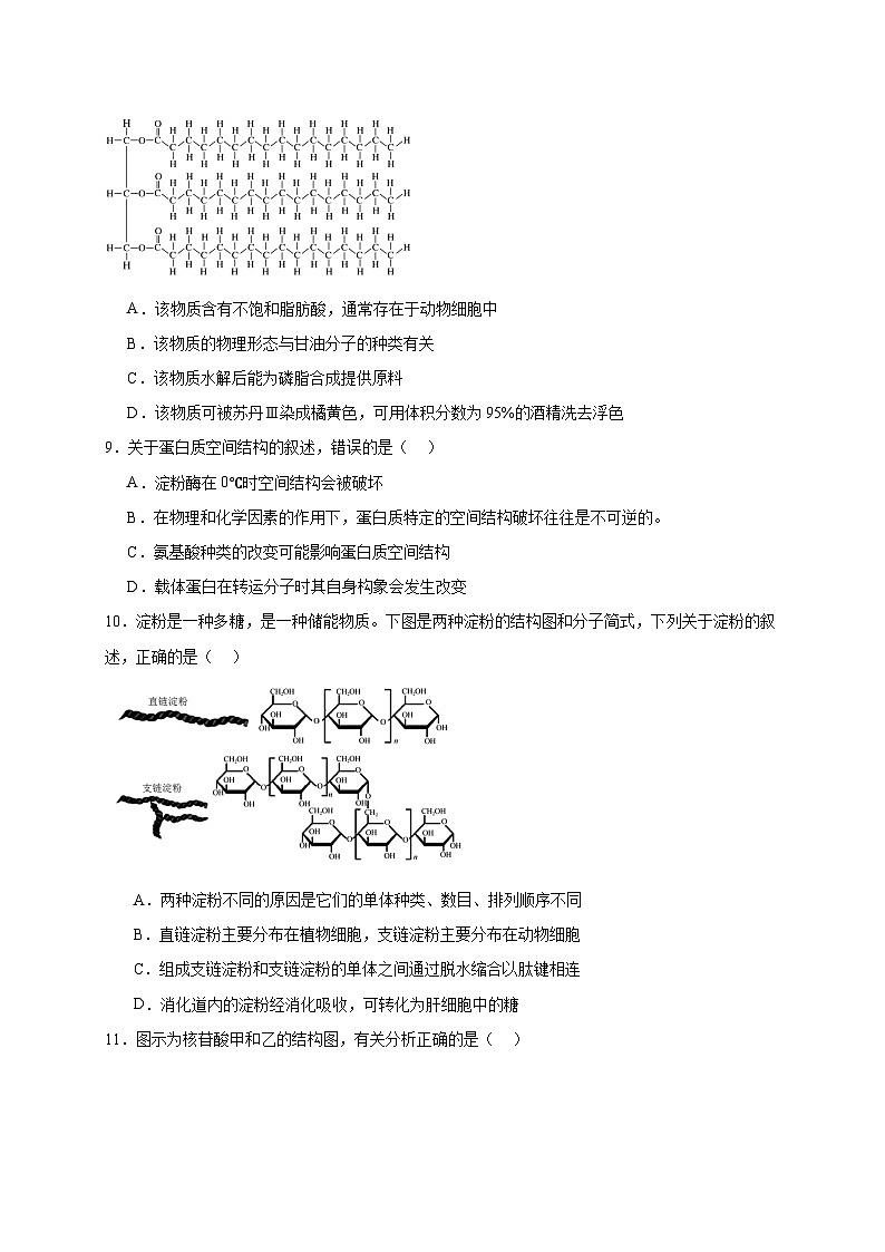 11月月考试卷3.0第3页