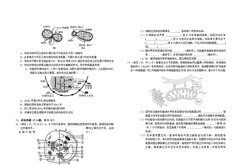 安徽省六安市第一中学2024-2025学年高一上学期11月期中生物试题第3页