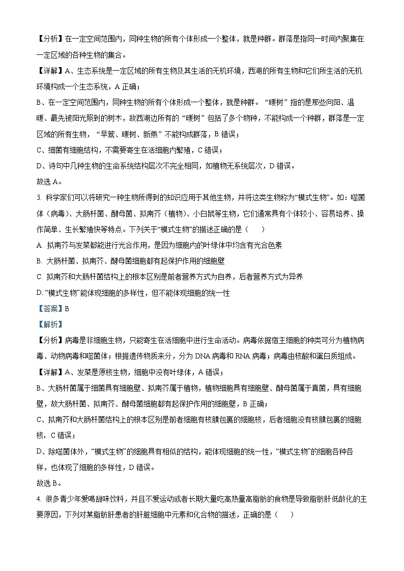 精品解析：河南省郑州外国语学校2024-2025学年高一上学期期中考试生物试卷（解析版）第2页