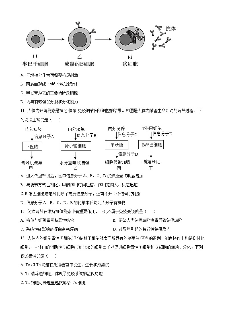 精品解析：天津市和平区天津市耀华中学2024-2025学年高二上学期11月期中生物试题（原卷版）第3页