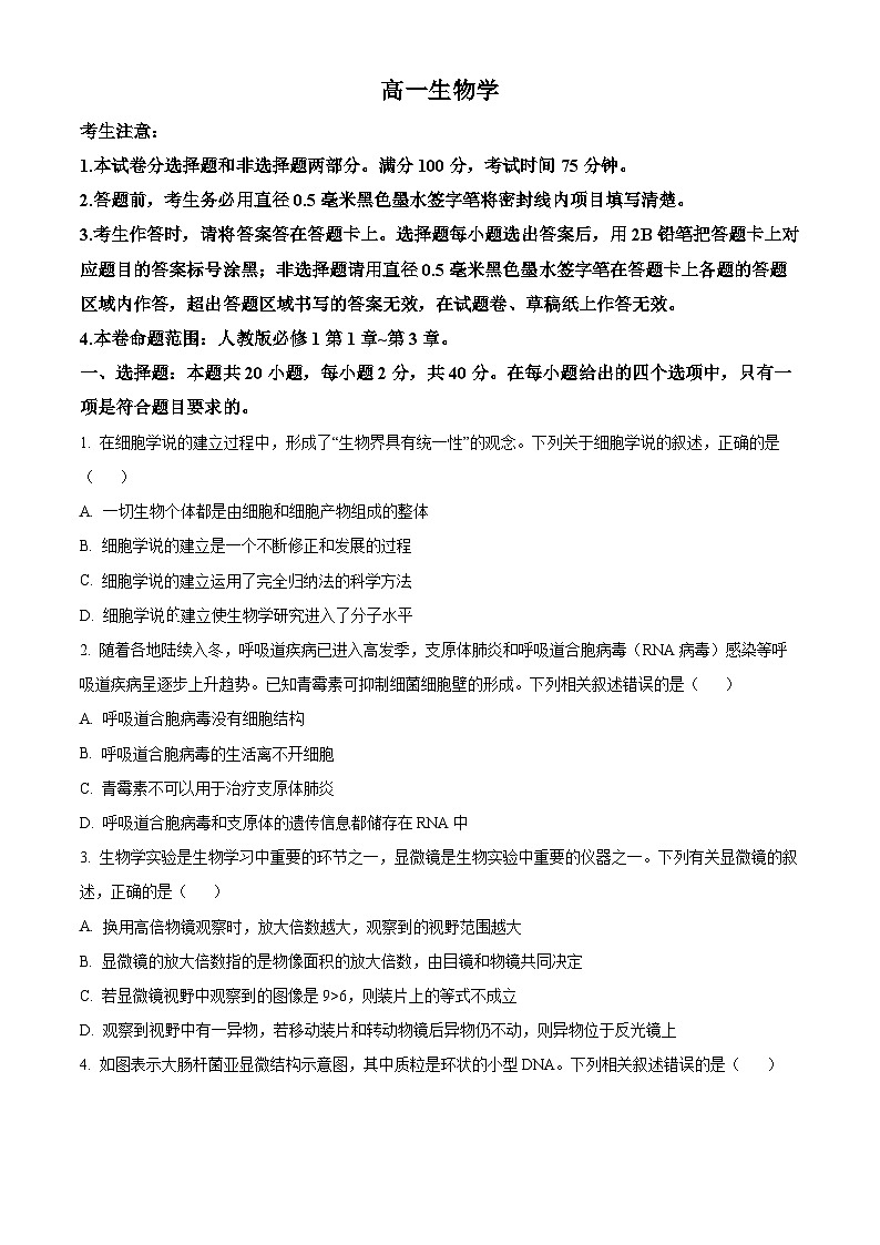 精品解析：河南省九师联考2024-2025学年高一上学期11月期中生物试题（原卷版）第1页