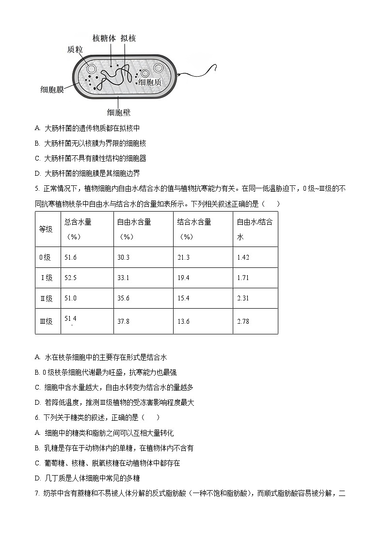 精品解析：河南省九师联考2024-2025学年高一上学期11月期中生物试题（原卷版）第2页