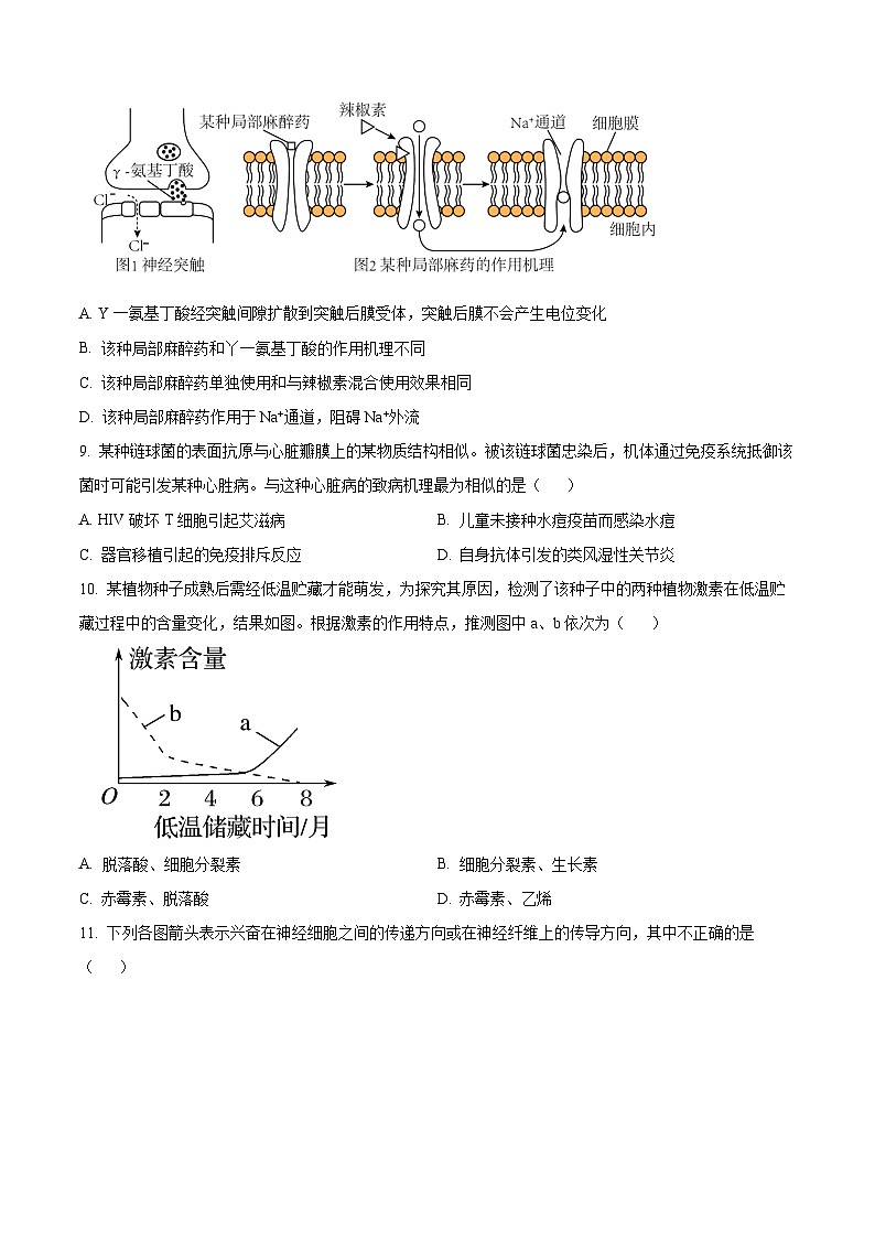 精品解析：河南省渑池县第二高级中学2024-2025学年高二上学期期中考试生物试题（原卷版）第3页