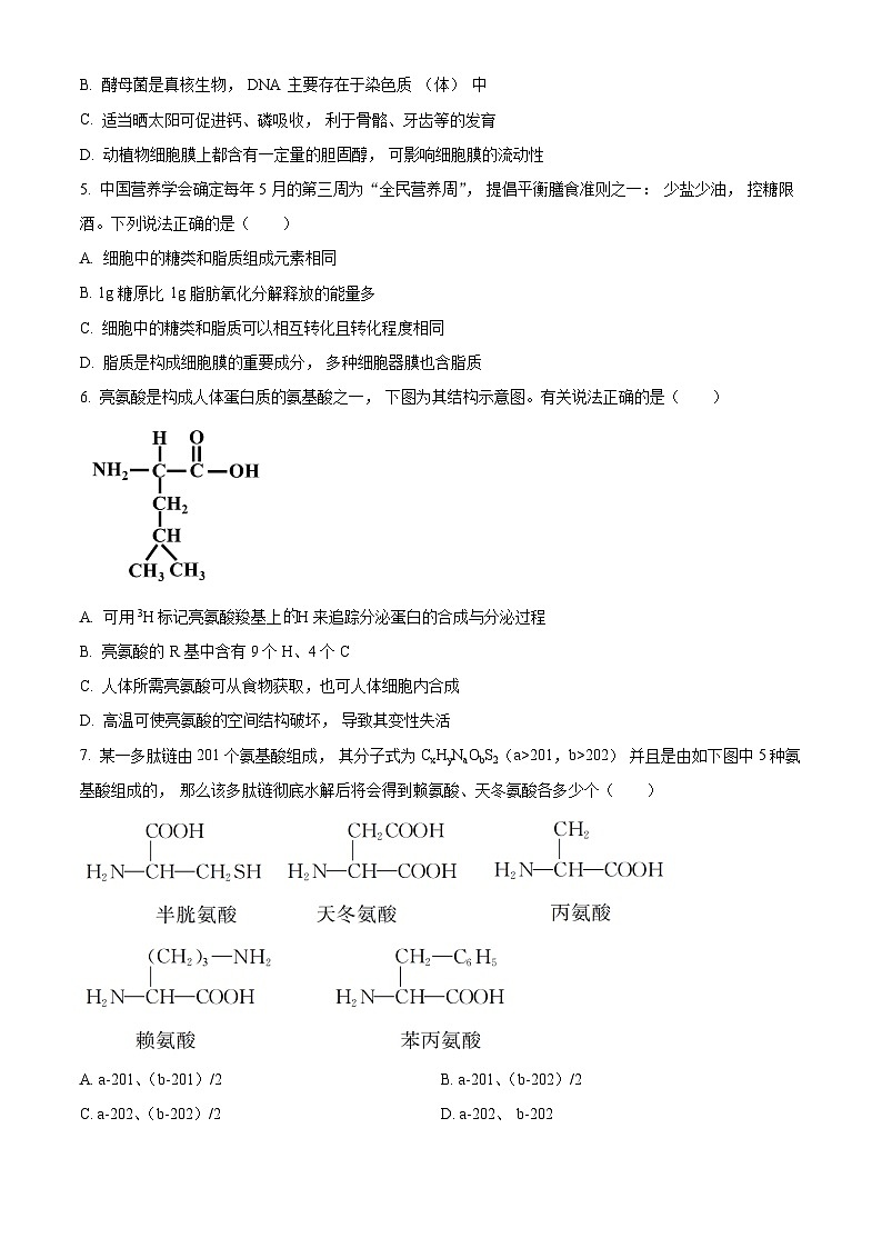 精品解析：河南省郑州市中原区郑州市第一中学2024-2025学年高一上学期期中测试生物试题（原卷版）第2页
