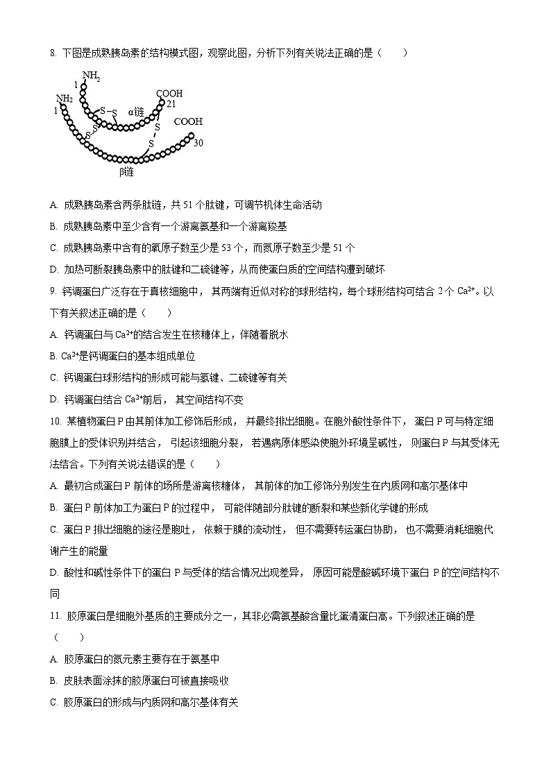 精品解析：河南省郑州市中原区郑州市第一中学2024-2025学年高一上学期期中测试生物试题（原卷版）第3页