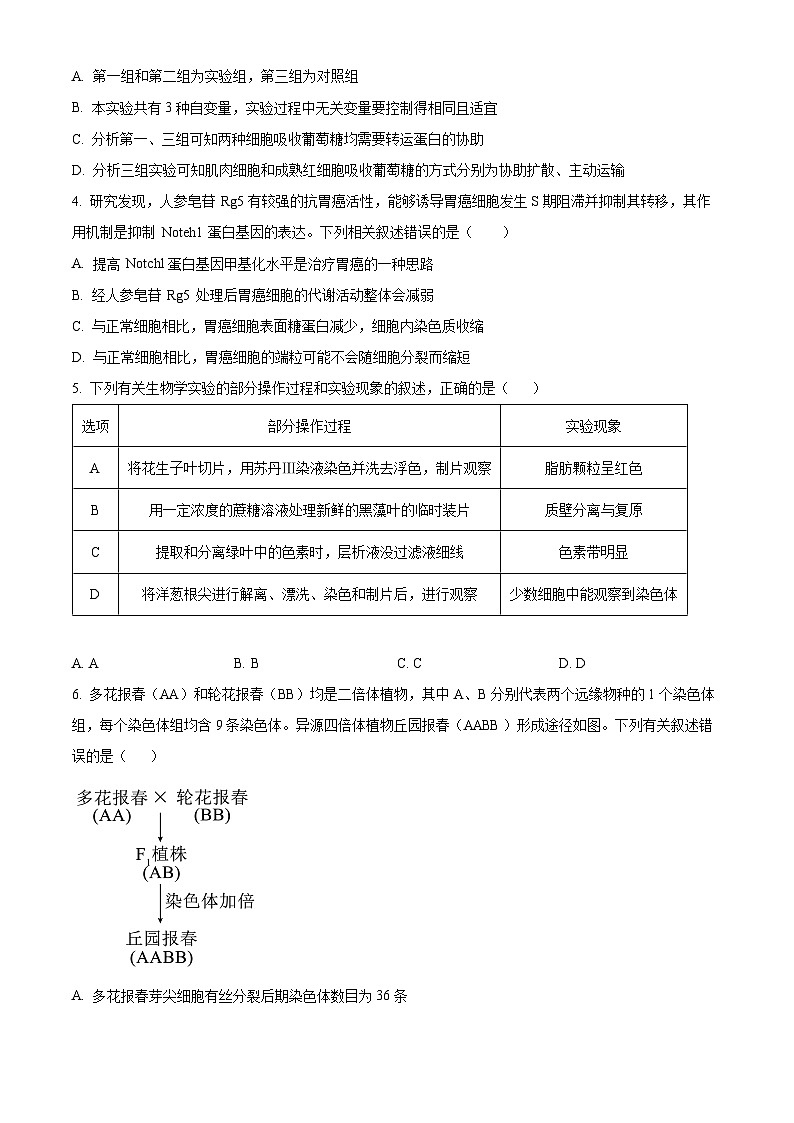 精品解析：云南省昆明市第三中学2024-2025年高二上学期期中考生物试卷02