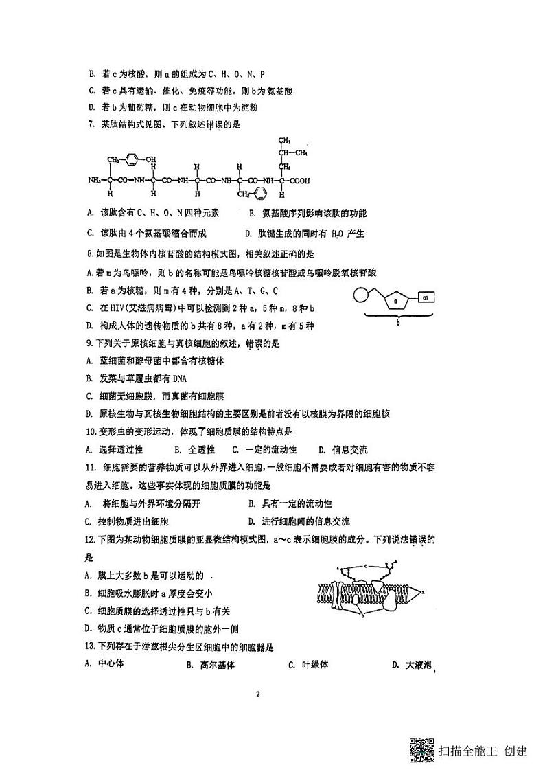江苏省扬州市红桥高级中学2024-2025学年高一上学期11月期中生物试题第2页