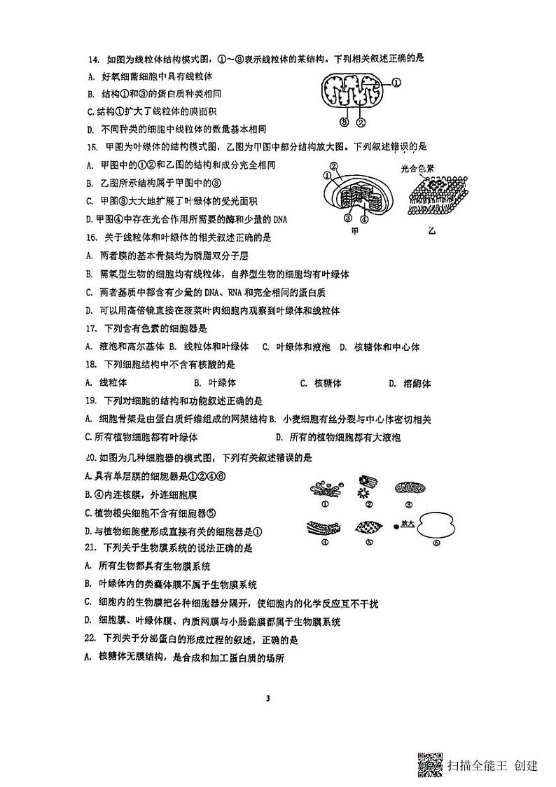 江苏省扬州市红桥高级中学2024-2025学年高一上学期11月期中生物试题第3页