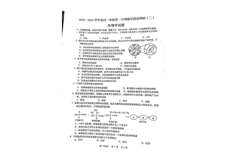 江苏省南通市如皋十校2024-2025学年高一上学期11月期中生物试题第1页