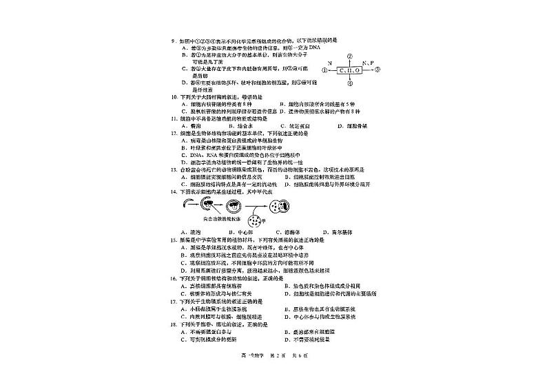 江苏省南通市如皋十校2024-2025学年高一上学期11月期中生物试题第2页