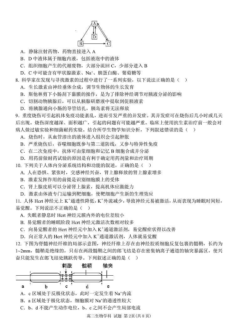 浙江省浙江星辰联盟2024-2025学年高二上学期11月期中生物试题第2页