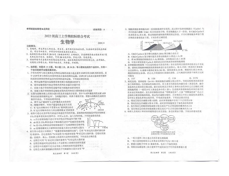 山东省日照市2024-2025学年高三上学期期中考试生物试题第1页