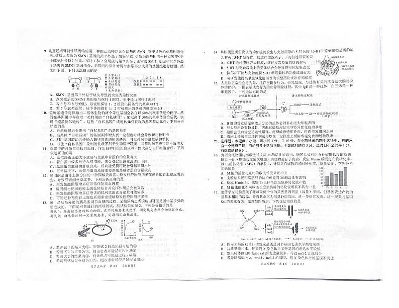 山东省日照市2024-2025学年高三上学期期中考试生物试题第2页