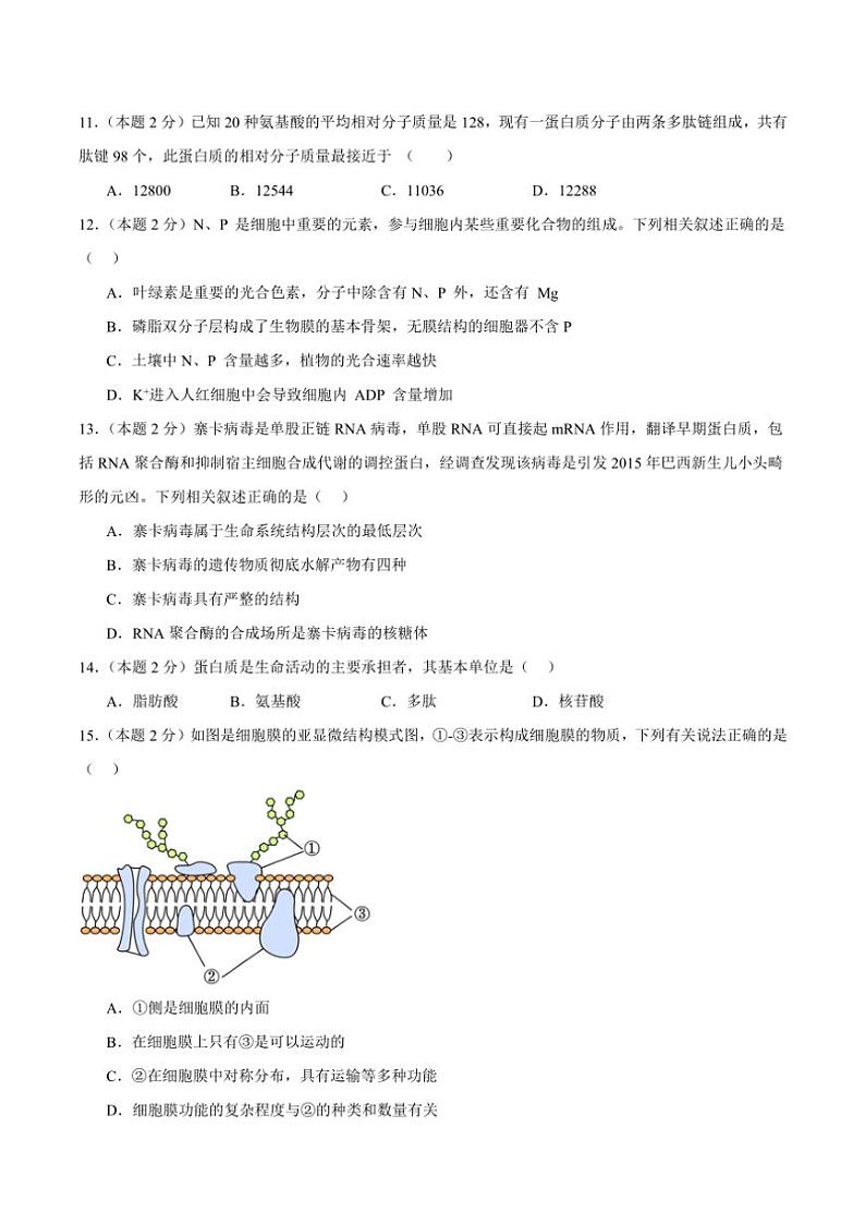 2024～2025学年四川省泸州市龙马潭区高一(上)期中生物试卷(含答案)第3页