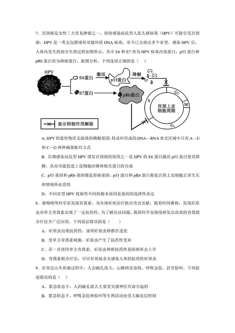 2024～2025学年江西省上饶市弋阳县第二中学高三(上)11月生物检测试卷(含答案)第3页