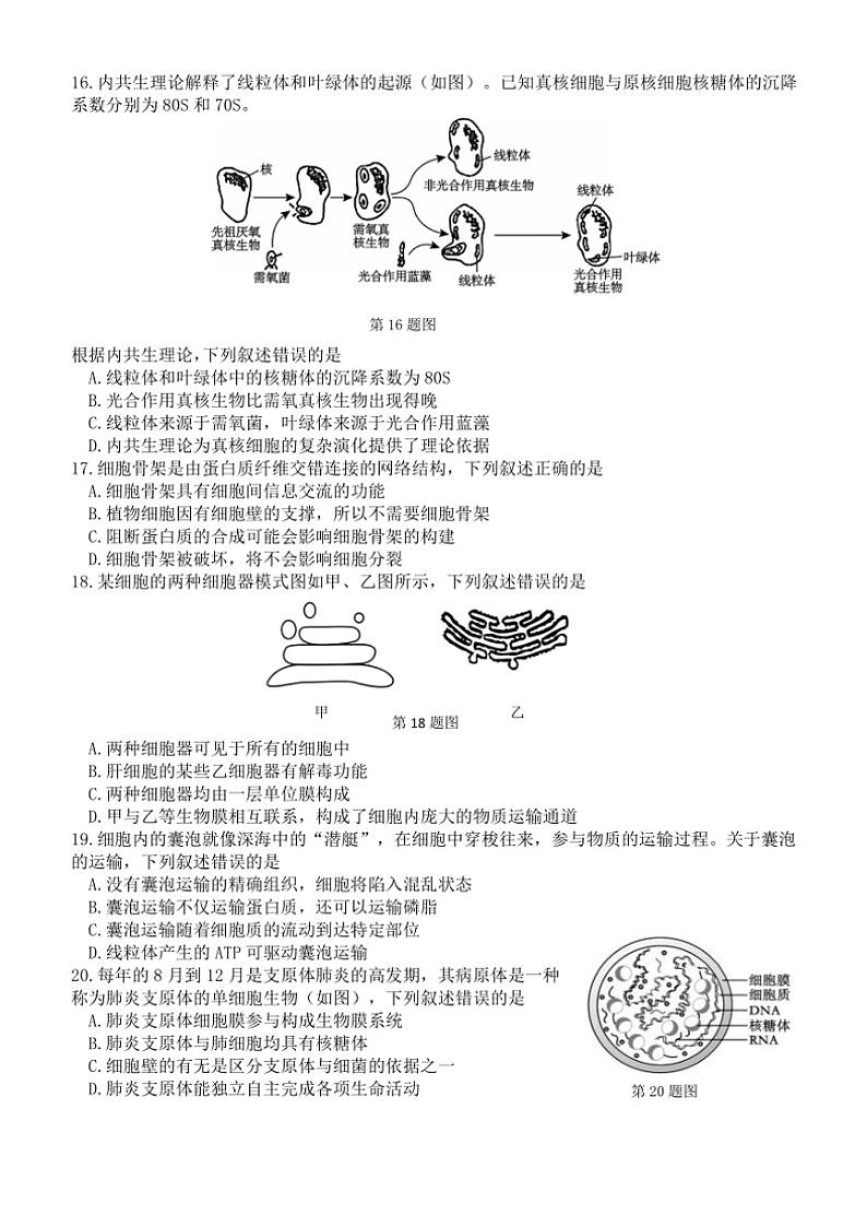 2024～2025学年浙江省温州市温州十校联合体高一(上)期中生物试卷(含答案)03