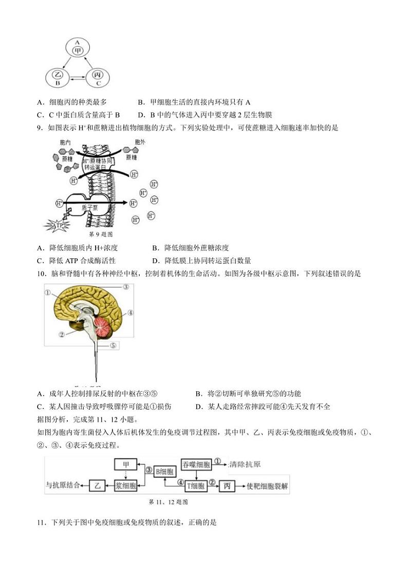 2024～2025学年浙江省91高中联盟高二(上)期中生物试卷(含答案)第2页