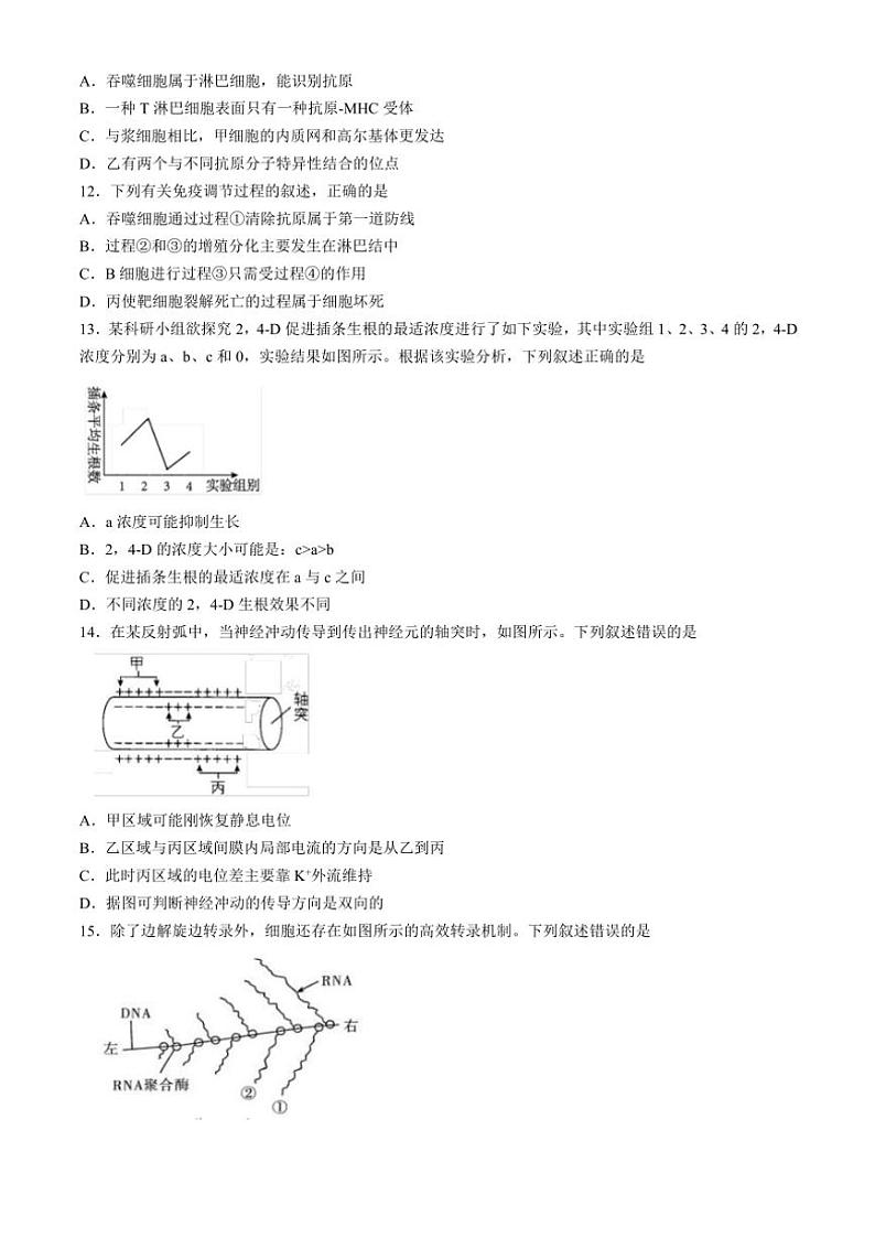 2024～2025学年浙江省91高中联盟高二(上)期中生物试卷(含答案)第3页