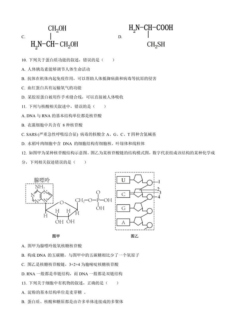 2024～2025学年重庆市第八中学高一(上)期中生物试卷(含解析)第3页