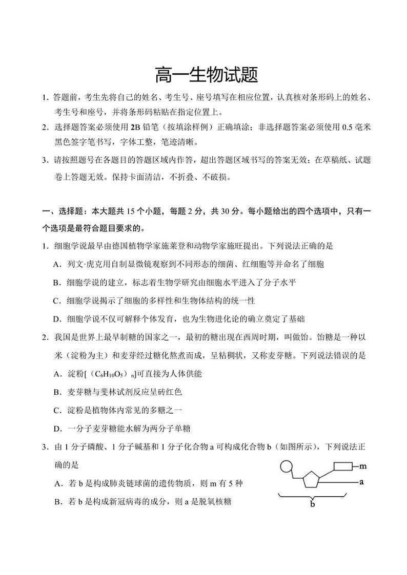 2024～2025学年山东省泰安市肥城市肥城市第三中学高一(上)期中生物试卷(含答案)第1页