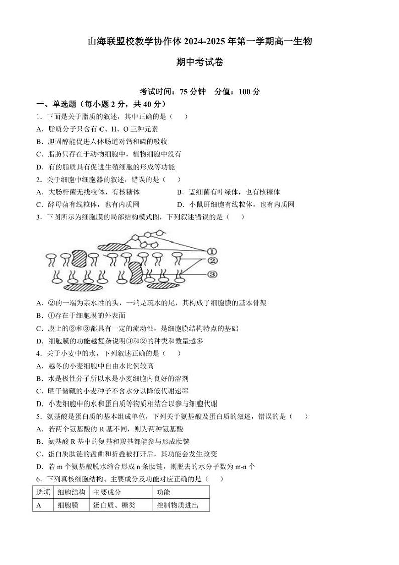 2024～2025学年福建省福州市山海联盟教学协作体高一(上)期中生物试卷(含答案)第1页