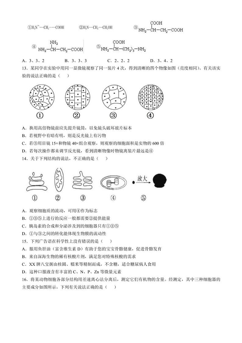 2024～2025学年福建省福州市山海联盟教学协作体高一(上)期中生物试卷(含答案)第3页