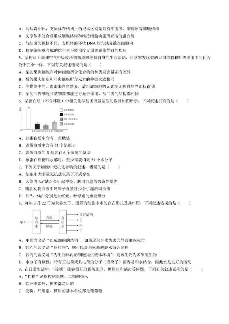 2024～2025学年云南省临沧市凤庆一中高一(上)期中检测生物试卷(含解析)第2页