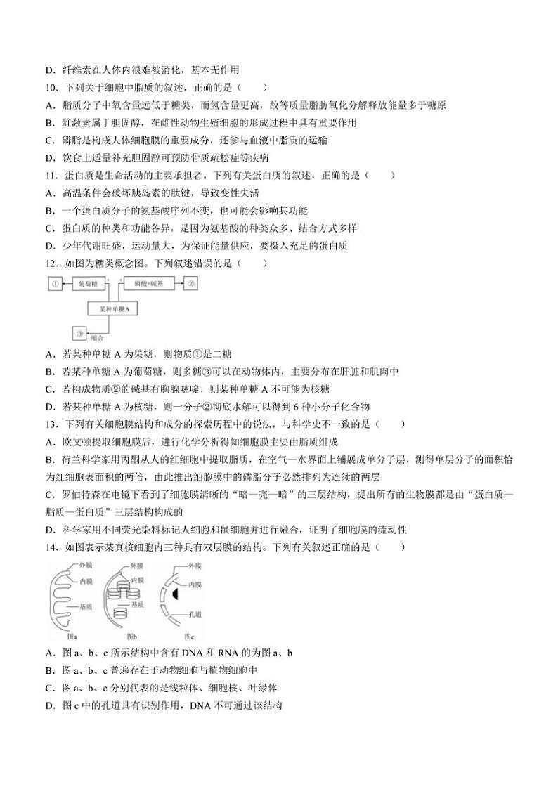 2024～2025学年云南省临沧市凤庆一中高一(上)期中检测生物试卷(含解析)第3页
